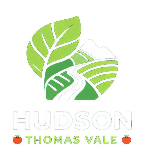 HUDSON THOMAS VALE