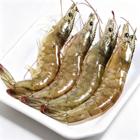 Frozen Raw Whole Prawns